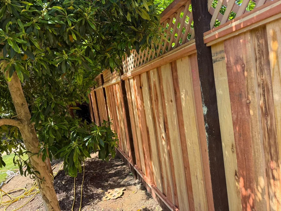 Redwood fence running behind a mature tree in a sunlit yard