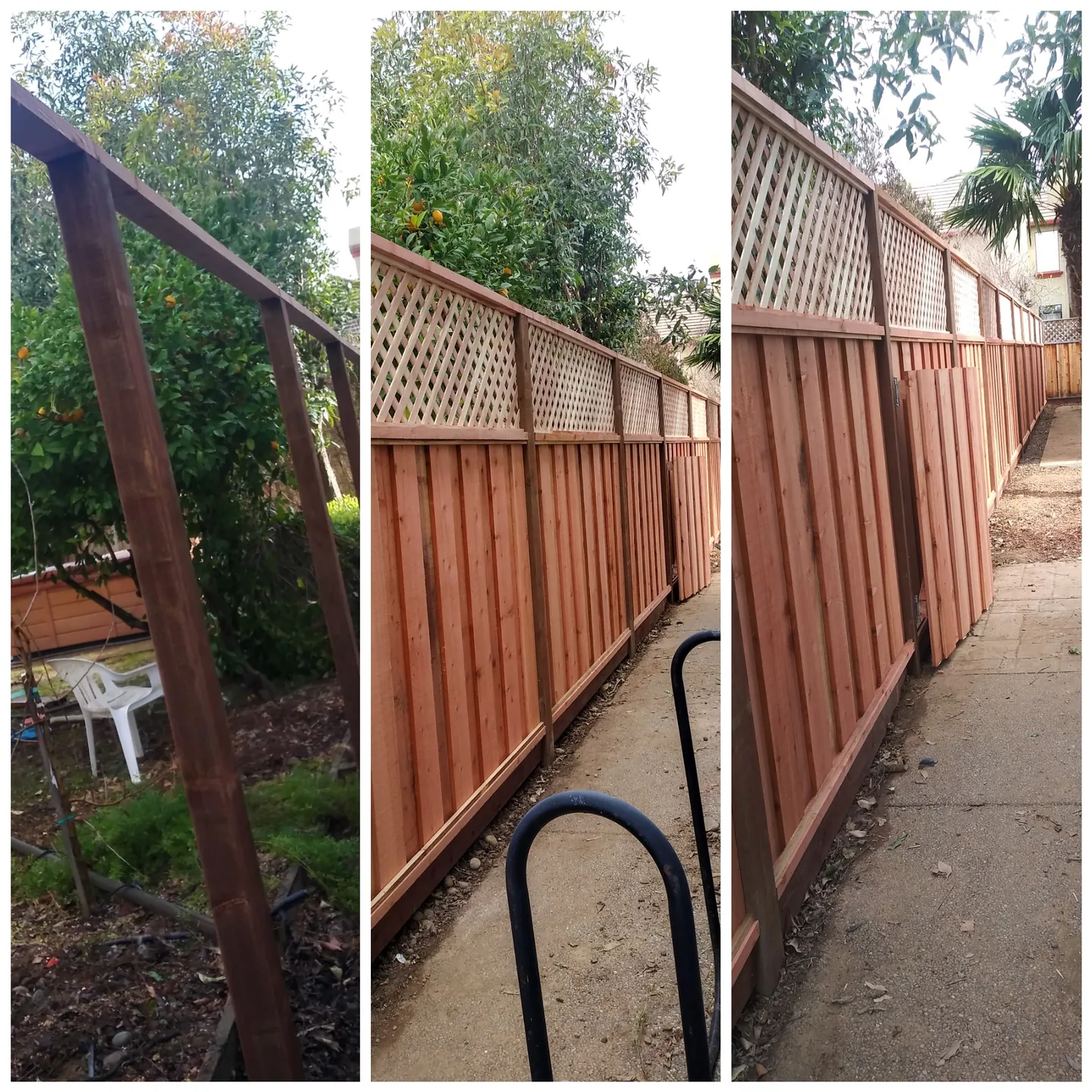 Fence build in Gilroy, shown from bare posts through to the finished lattice topped run